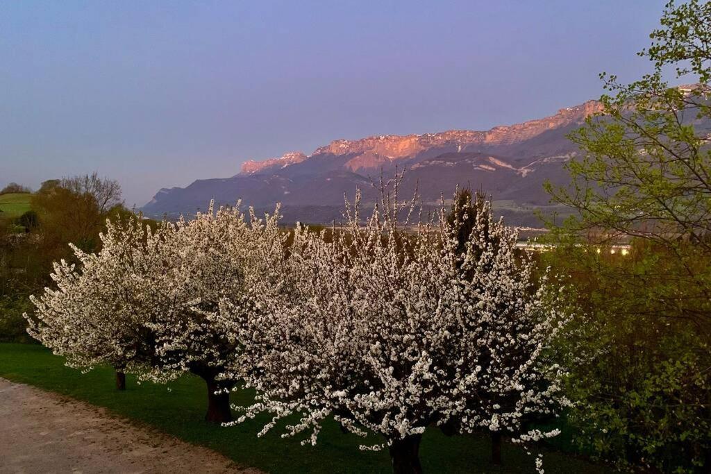 Ferienwohnung Au Calme Avec Vue Magnifique A Saint Maximin Exterior foto